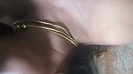Mature aunty talking  sex