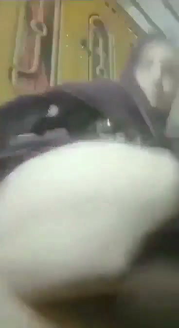 Muslim aunty Fingering her pussy