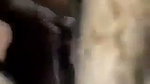 Sexy hot girl fuck and make hot expression