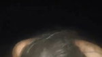 Newly Village bhabhi Blowjob