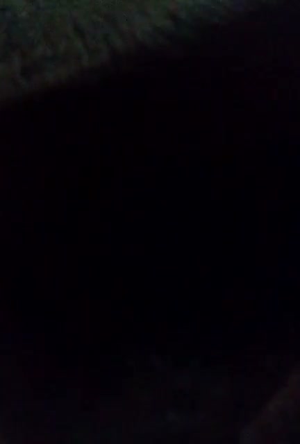 Frame 6