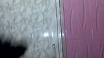 Huge boobs bhabhi taking bath