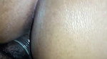 Srity-Roy Showing Pussy & Chatting on StripChat Live