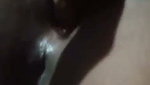 VID 20260525 WA0858