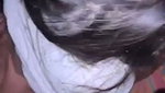 lv 0 20260527001628