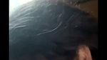 Sexy aunty show her huge boobs