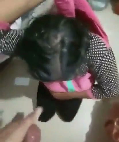 Mature aunty Blowjob her husband