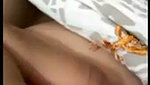 Girl show her boobs on video call