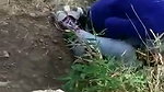 Couple caught  run away