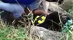 Couple caught  run away
