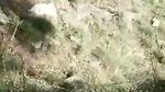 Couple caught  run away