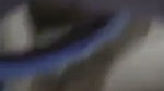Desi Indian Couple hot sex mms clip leaked online Must watch
