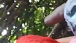 bhabhi Blowjob his lover