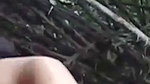 bhabhi Blowjob his lover