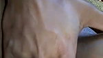 Village girl fingering her wet pussy