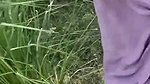 Desi couple caught outdoor