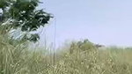 Desi couple caught outdoor