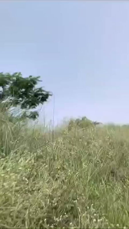Desi couple caught outdoor