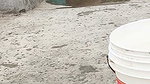 Desi sexy bhabi pee