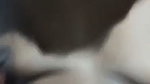 1000191572