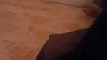 Cute Desi GF Sucking My Cock