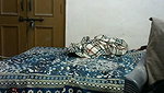 THIS IS REEMA 13 DEC