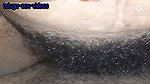 New indian tango video collection 16