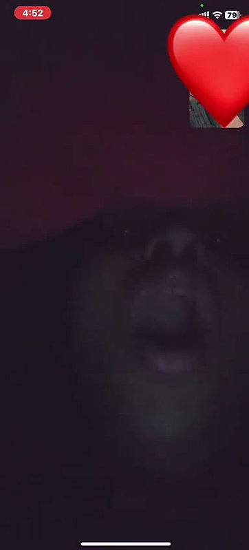 nude vc with gf 2