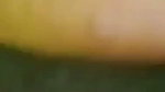 1000160729
