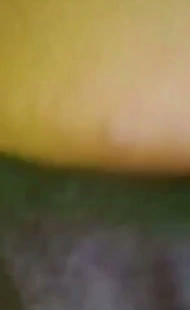 1000160729