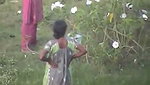 Desi Indian Pooping Voyeur