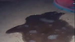 Sri lankan aunty outdoor pissing video 2