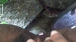 Sri lankan girl pissing chu danawa