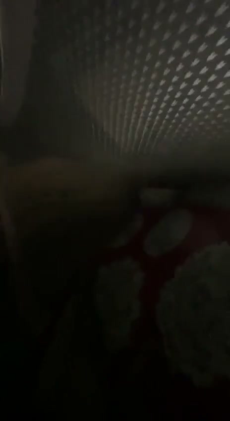 Frame 8