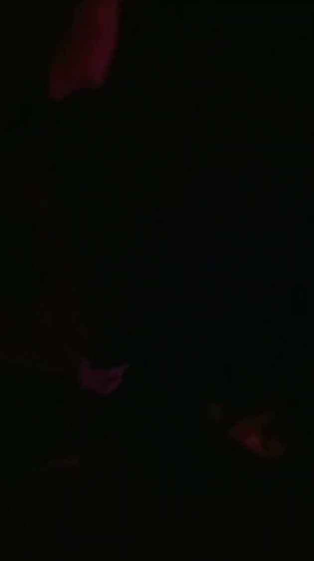 Frame 7