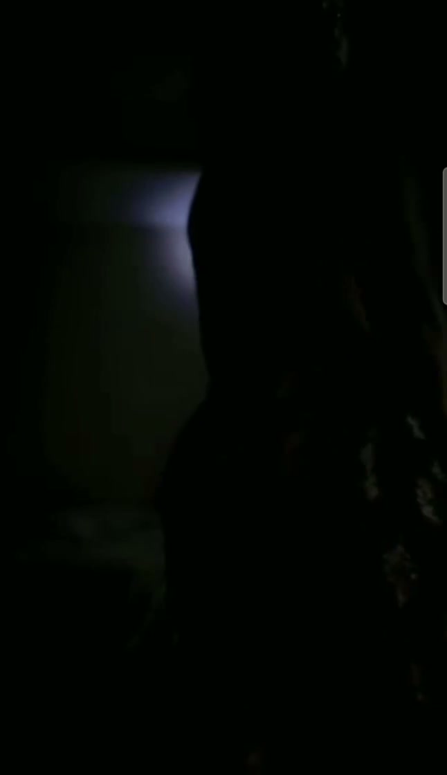 Frame 8