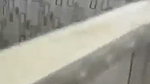 1000199865