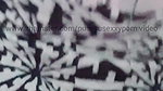 Sri Lankan office sinhala kunuharupa sinhala voice video