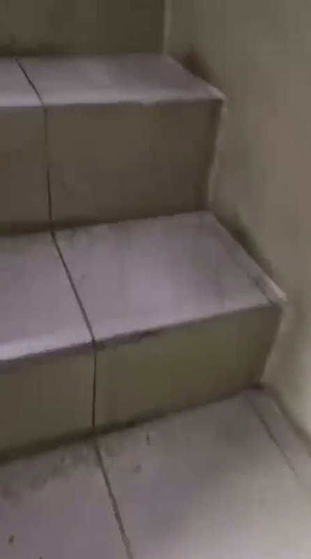 1000200206