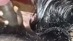 Desi girl giving Blowjob