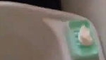 Punjabi girl Blowjob wash her mouth