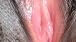 Sri Lankan Teen Sexy Pretty Girl shows her Tight Pussy Closeup & She Likes to Cum inside her Pussy