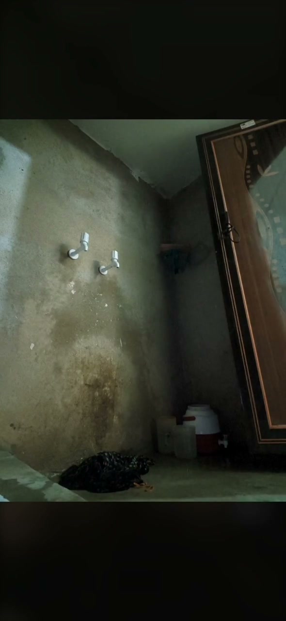 Frame 5