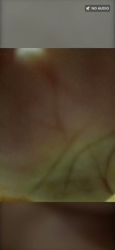 New student boob show
