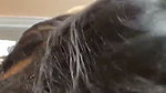 Sexy Girl Sucking Boyfriend Dick