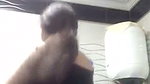 Punjabi aunty suck his own boobs