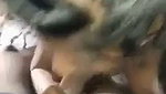 Sexy girl Blowjob riding