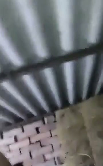 Sexy girl Blowjob riding