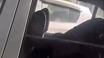 sex inside car