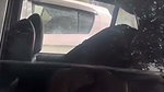 sex inside car